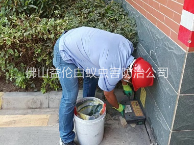 伦教安装灭鼠器工程