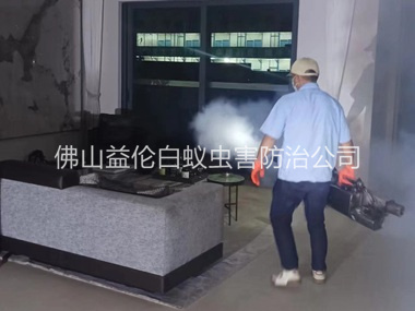大良室内灭蚊虫工程