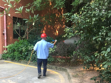 北滘消杀蚊虫公司居住环境蚊蝇多怎么防控